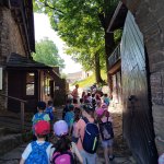 phoca_thumb_m_veverky hrad 8 Fotogalerie
